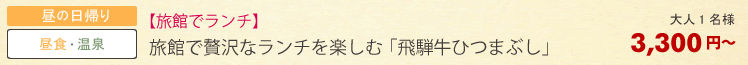 日帰りプラン