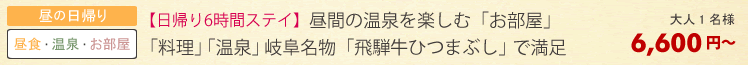 日帰りプラン