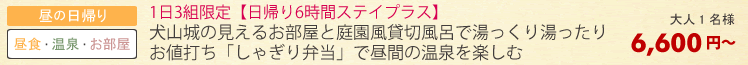 日帰りプランン