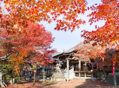 寂光院