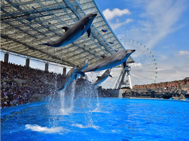 名古屋港水族館